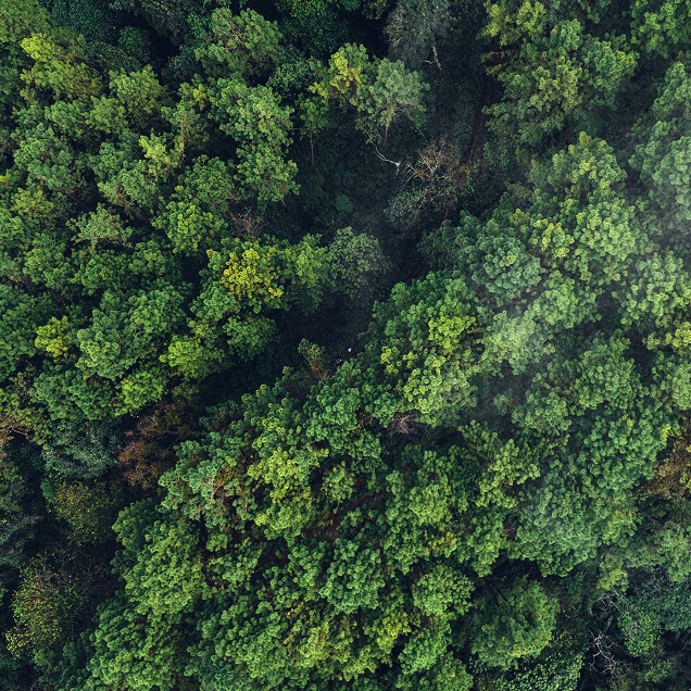 SUSTAINABILITY
